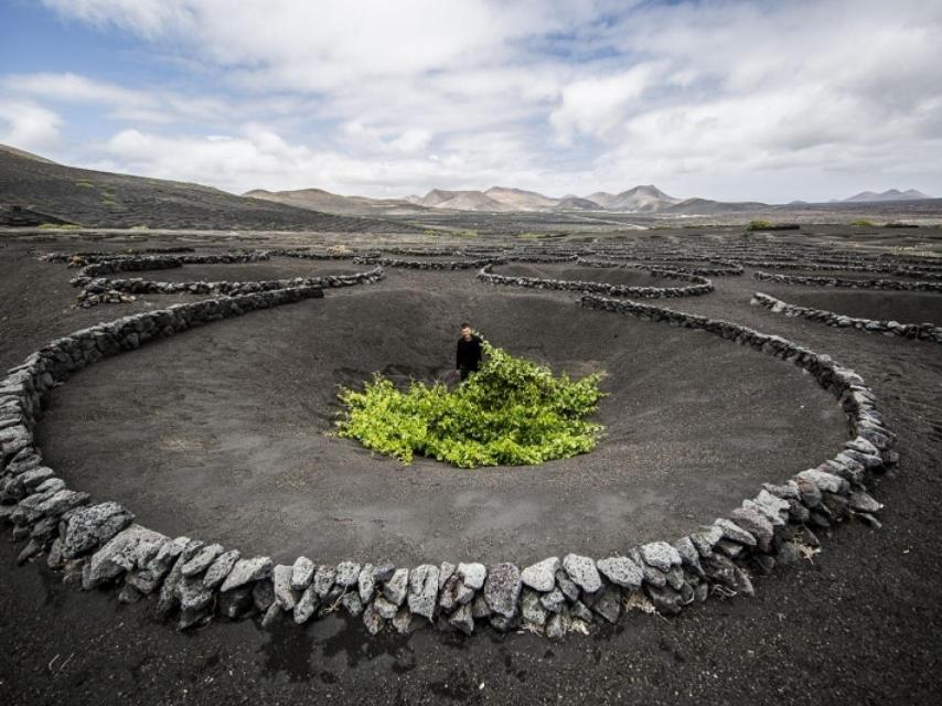 El peculiar sistema de cultivo en zanjas que parecen cráteres lunares.