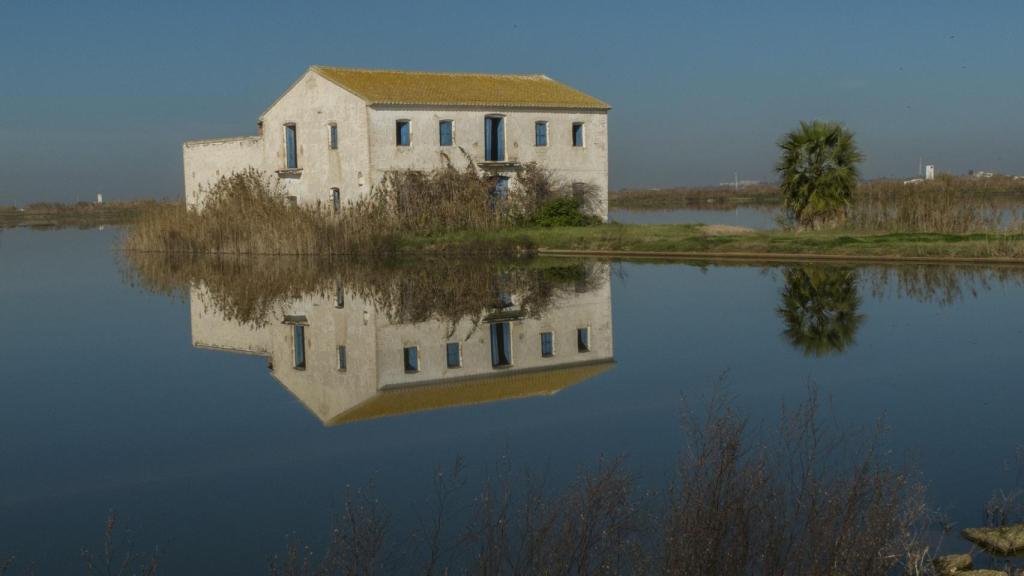 La Albufera.