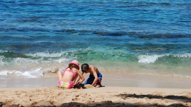 Los bañistas también pueden denunciar en la aplicación si hay residuos en la playa.