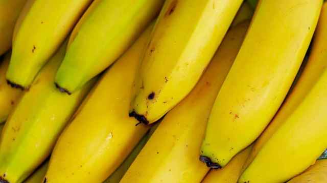 Unas bananas con bacterias en su corteza.