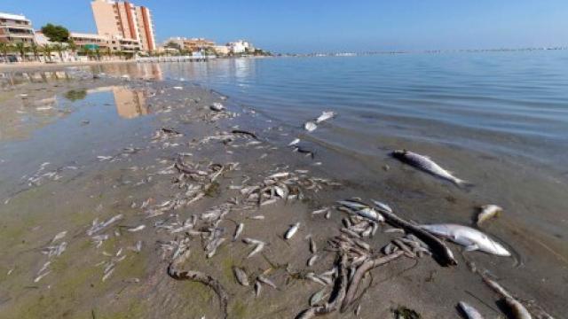 Foto de archivo del Mar Menor.