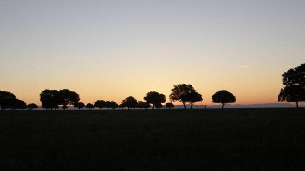 Atardecer en Cabañeros