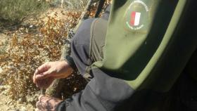 Un agente medioambiental de Castilla-La Mancha realizando su trabajo (Imagen de recurso)