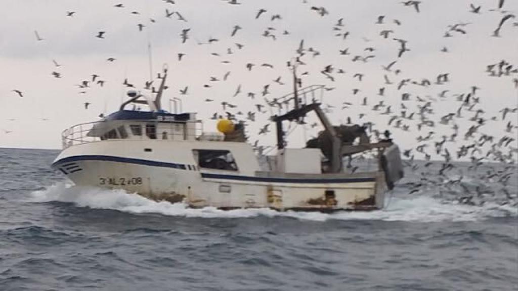 El barco 'Nuevo Rafael', hundido la semana pasada en aguas del mar de Alborán.