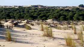 Las 5 playas más largas de España