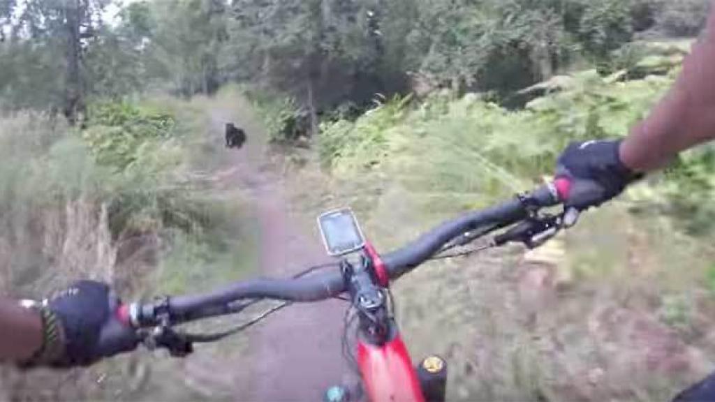 Un ciclista, circulando por el campo con su 'mountain bike'.