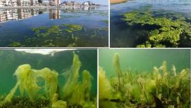 Atajar la entrada de sedimentos y nutrientes, primer paso para recuperar el Mar Menor.