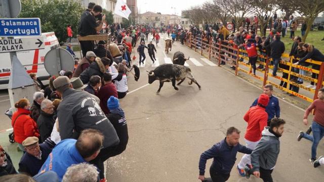 Castilla y León