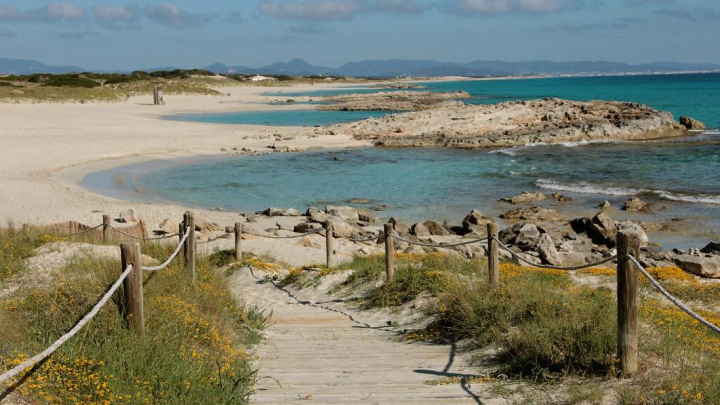 Playa de Ses Illetes