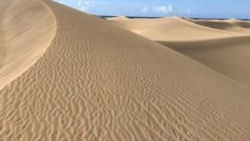 Rizaduras sobre las dunas de Maspalomas.