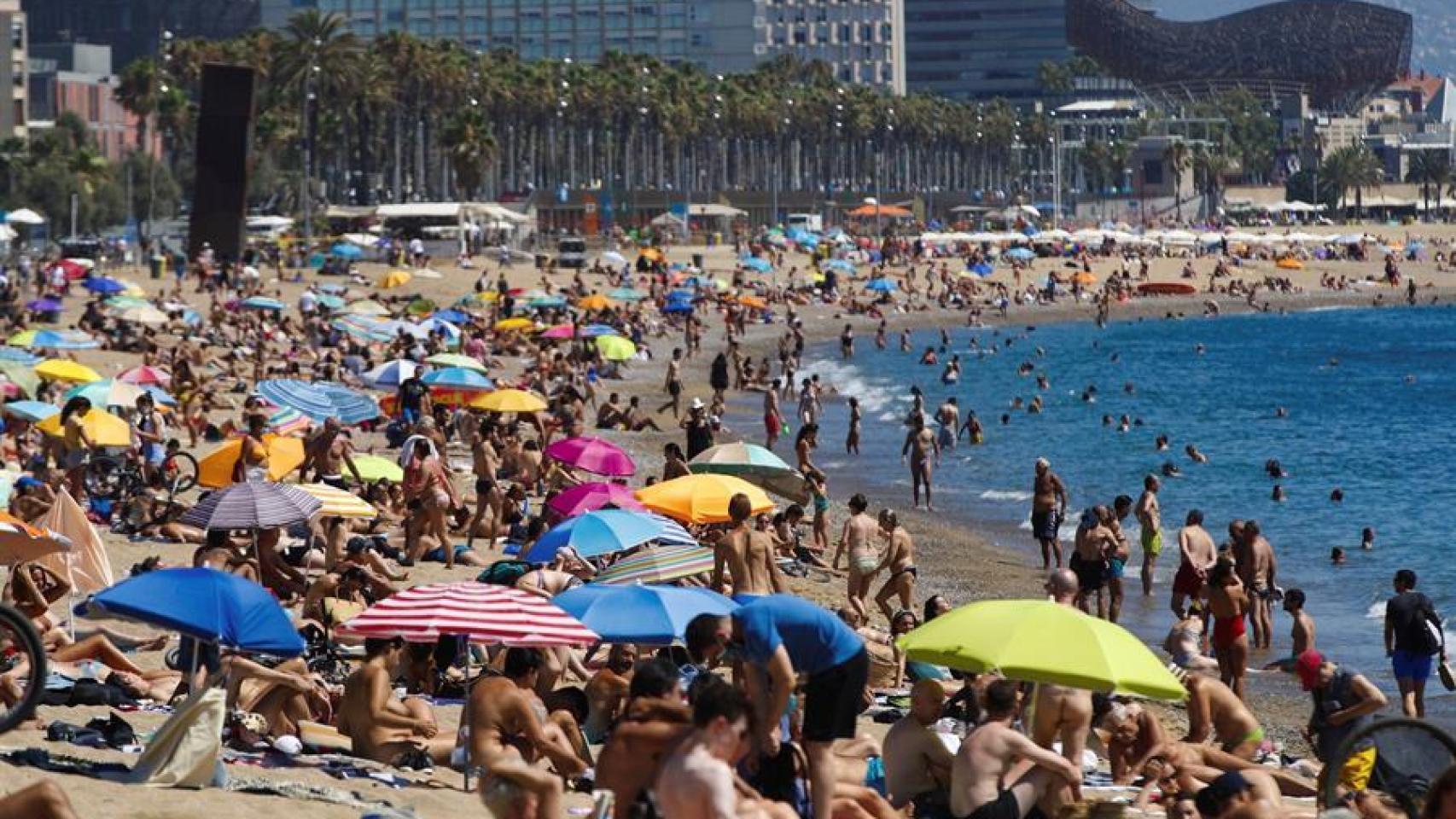 Un sanitario realiza una prueba PCR a un paciente en el CAP Raval Nord de Barcelona.