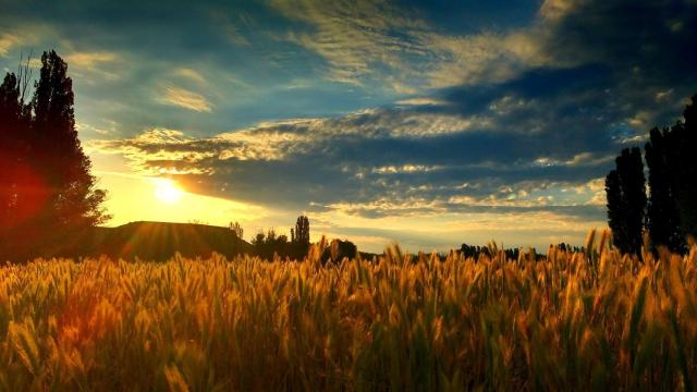 Estas son las razones para apostar por el turismo rural este verano