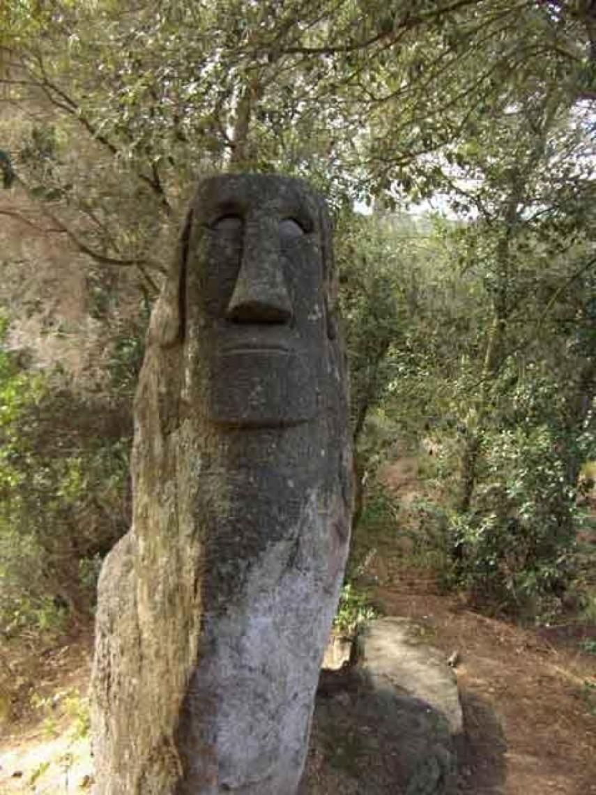 Bosque de Orrius