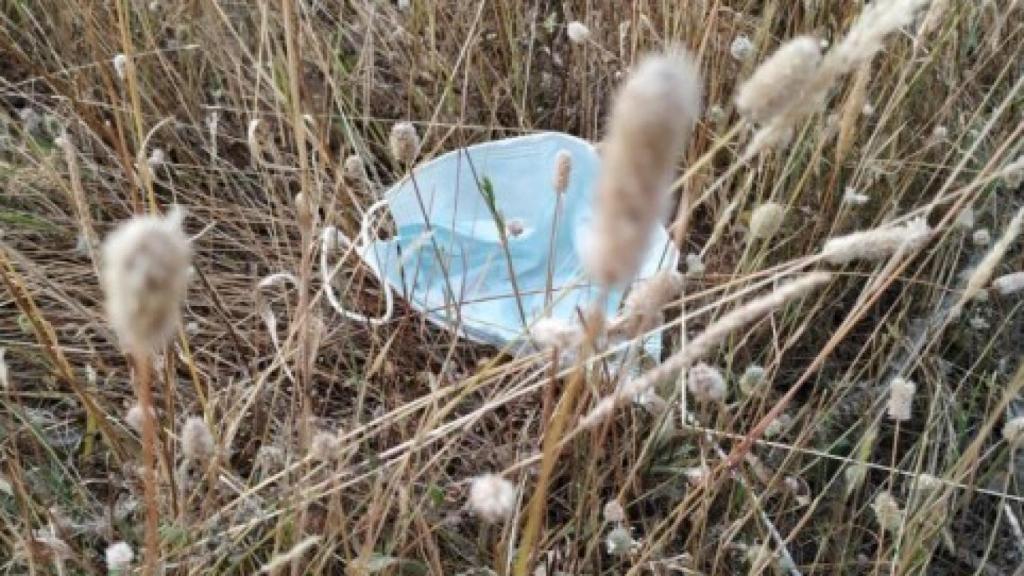 Una mascarilla abandonada en un espacio natural de Madrid.