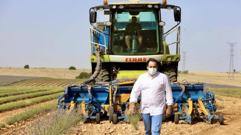 El presidente del PP de C-LM, Paco Núñez, visita los campos de lavanda en Almadrones (Guadalajara)