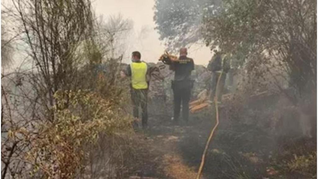 El incendio más grande del verano: Se han quemado  1.000 hectáreas en Cualedro (Ourense)