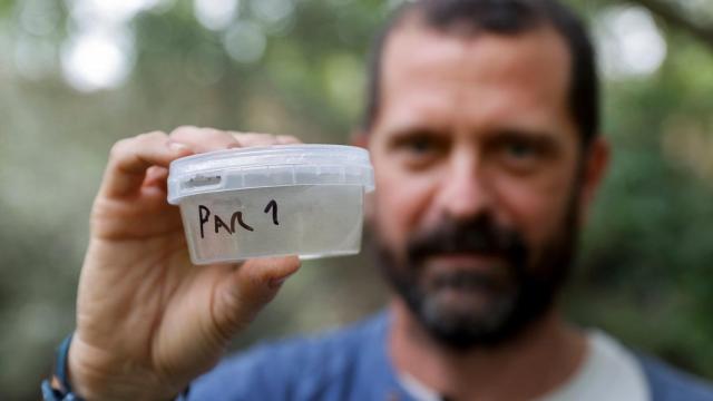 David León, coordinador del proyecto Microplásticos en Ríos de HyT.