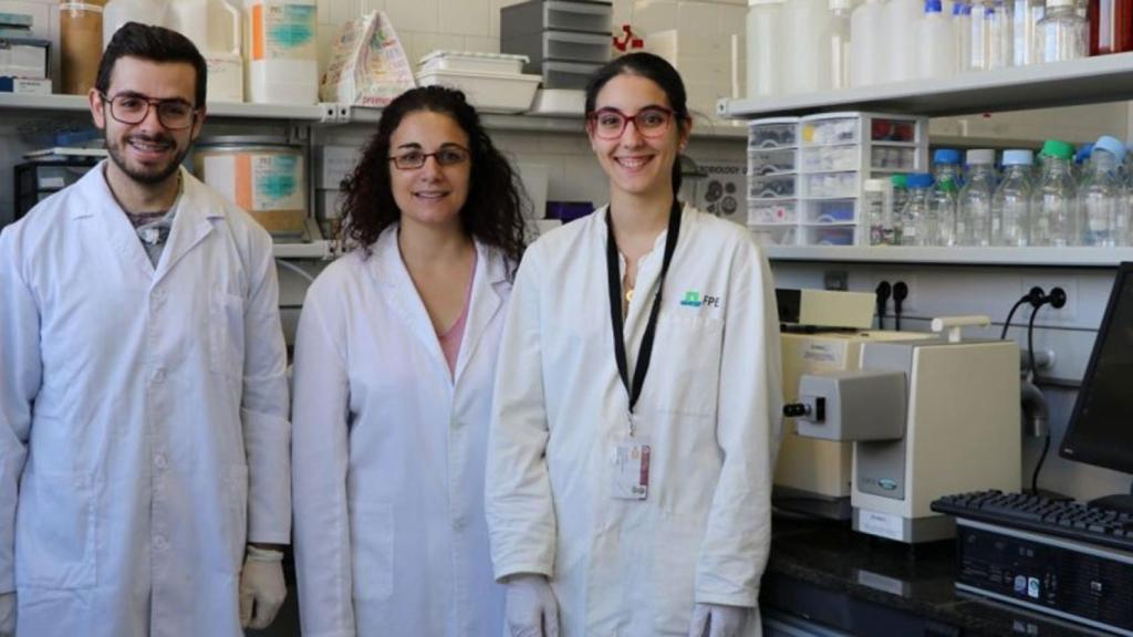 El equipo investigador de la Universitat Rovira i Virgili de este proyecto.