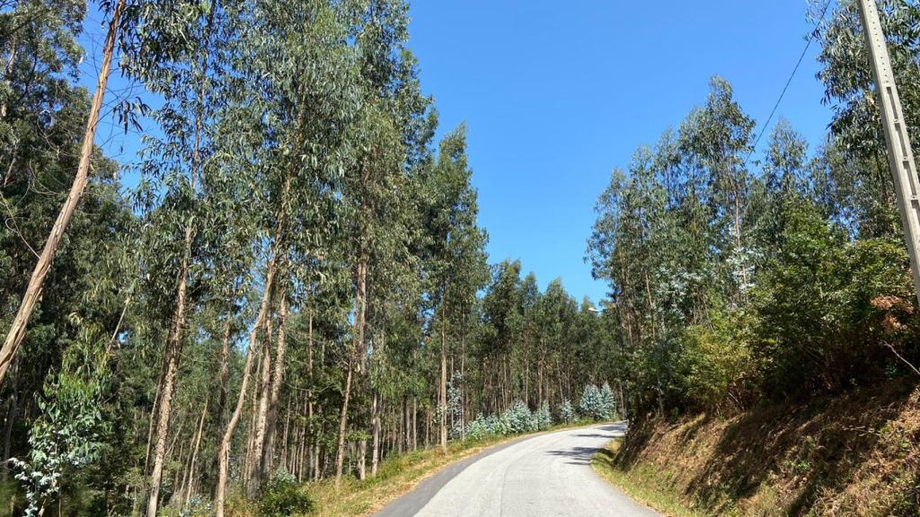 Carretera rural en Sanxenxo