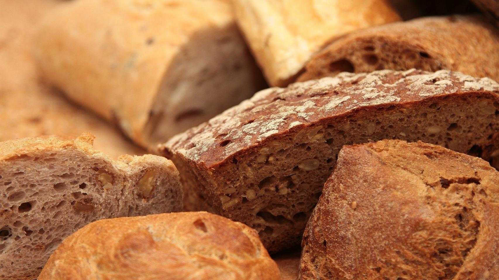 ¿Cuáles son los alimentos que contienen carbohidratos?