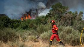 Un efectivo de la Unidad Militar de Emergencias en Orense.