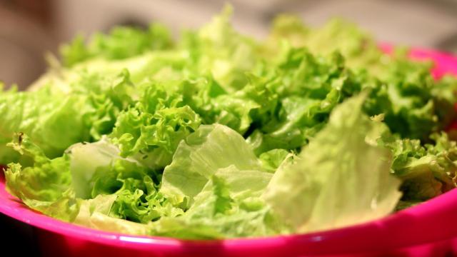 Un plato con lechuga.