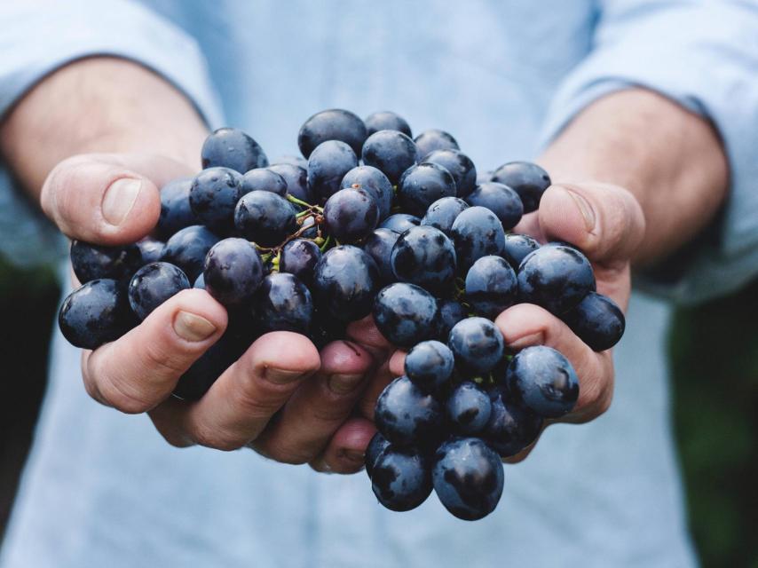 Hay tantos vinos como manos que lo elaboran.