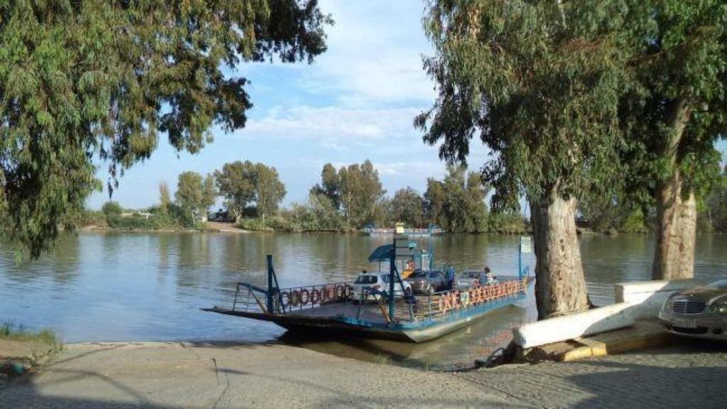 El Guadalquivir a su paso por Coria del Río.