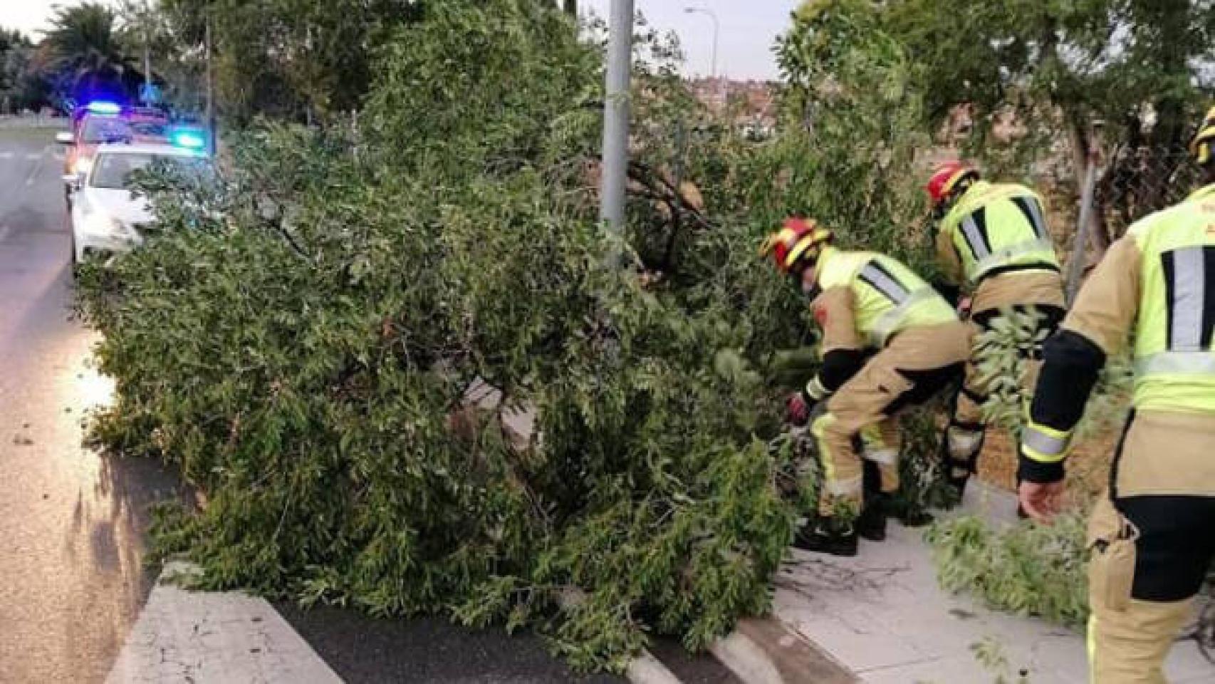 Foto: Bomberos de Toledo