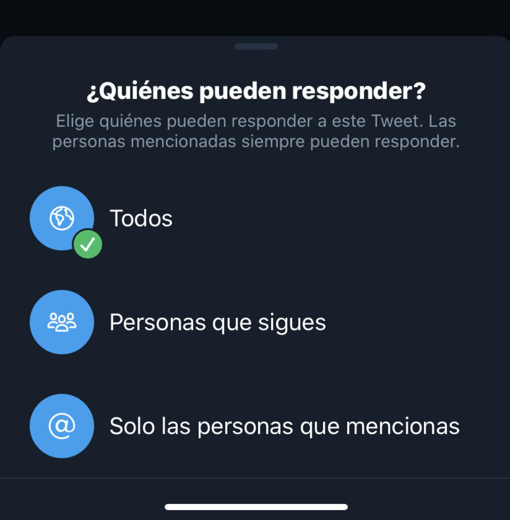 Diferentes opciones a la hora de publicar en Twitter