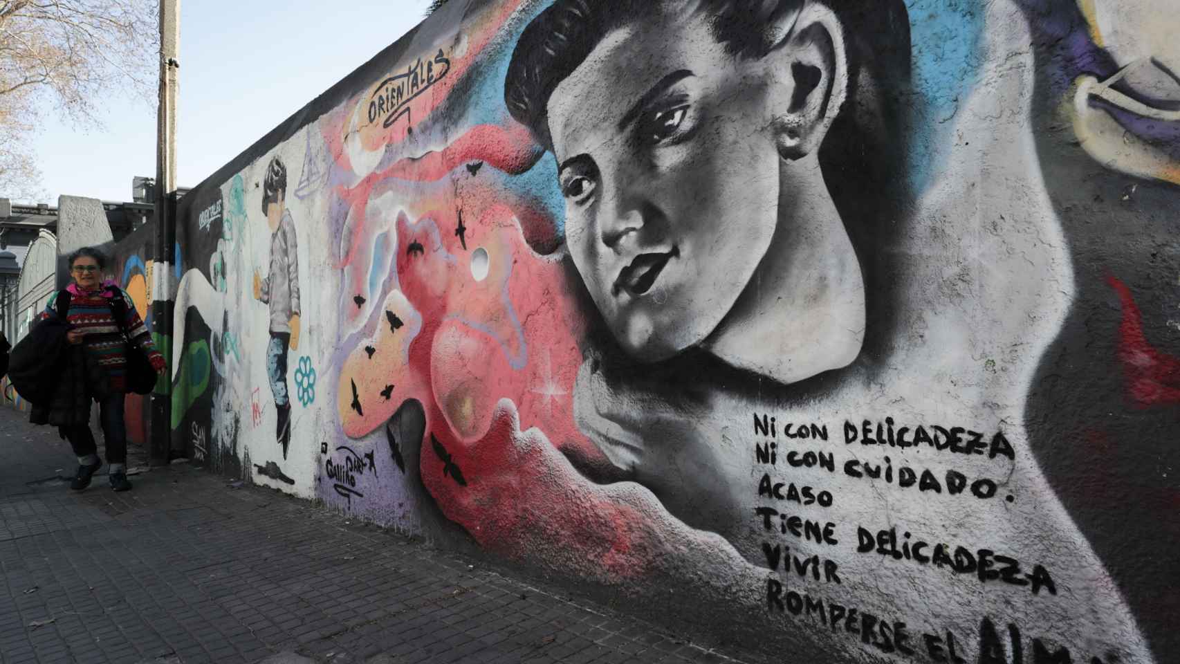 otografía de un mural alusivo a la poeta uruguaya Idea Vilariño, el 14 de agosto de 2020, en Montevideo (Uruguay).