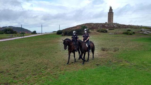 caballos policía nacional