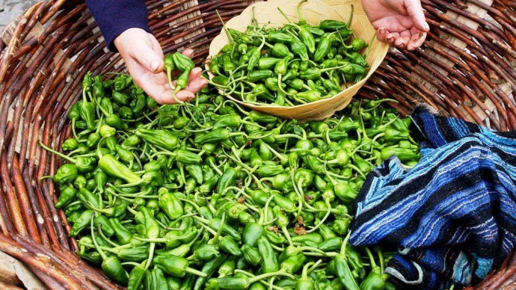 Pimientos de Herbón.