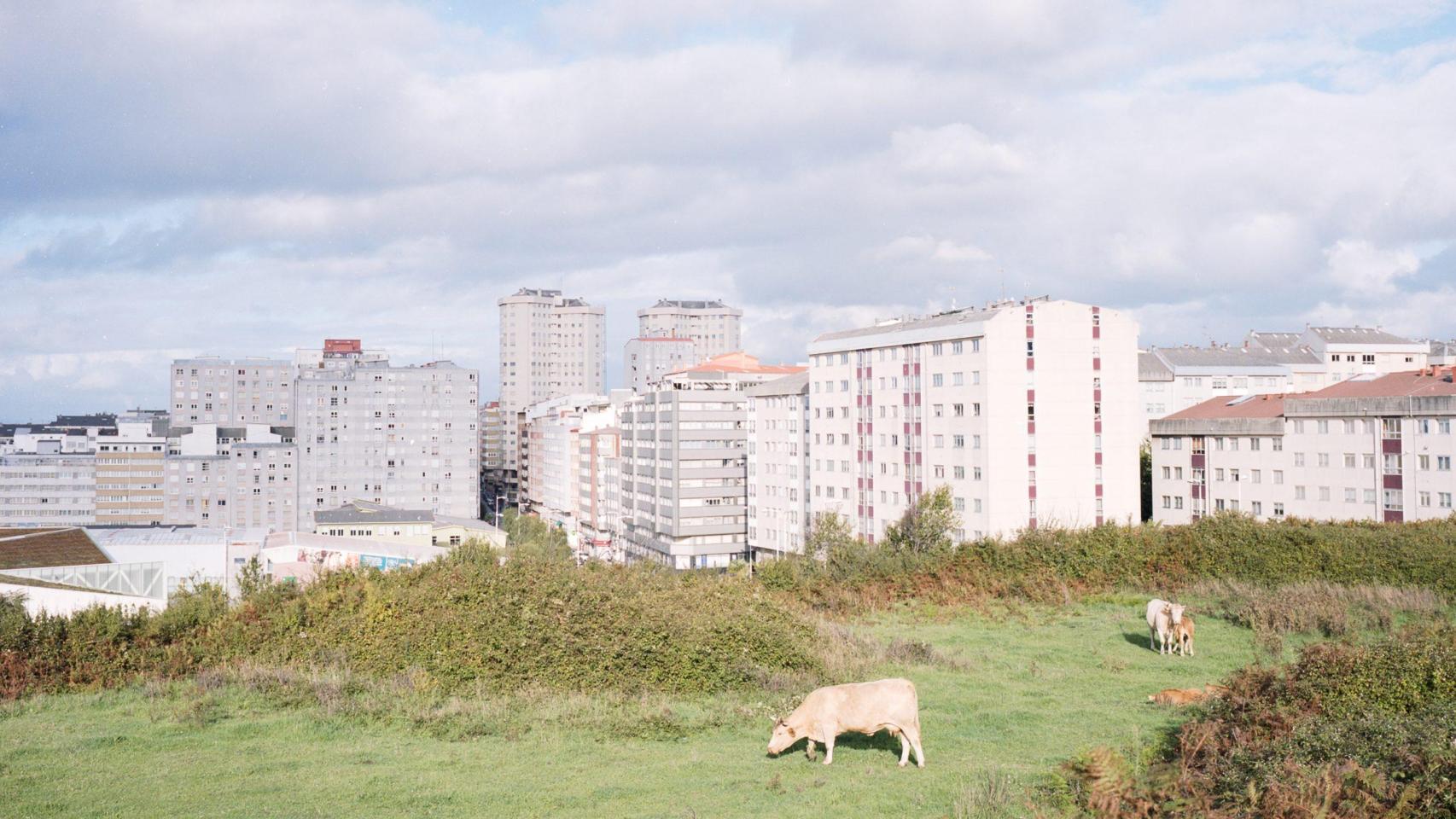 Una de las fotografías tomadas porPaweł Jaśkiewicz