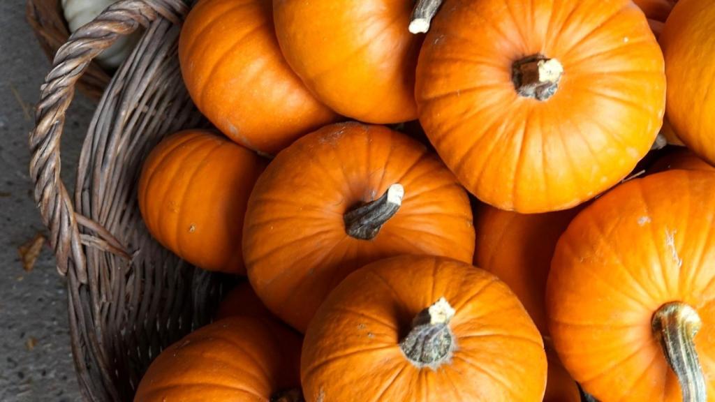 Varias calabazas en un cesto.