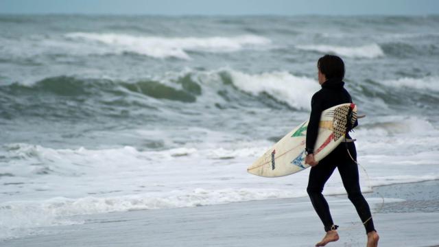 surf, surfista, playa, mar