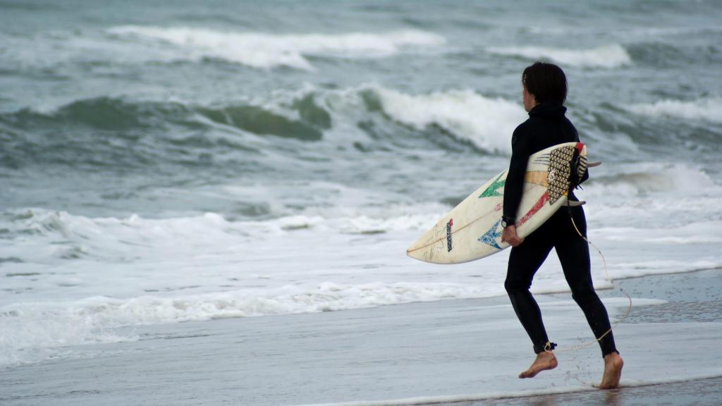 surf, surfista, playa, mar