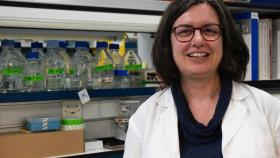 Sonia Zúñiga forma parte del laboratorio de Coronavirus del Centro Nacional de Biotecnología del CSIC