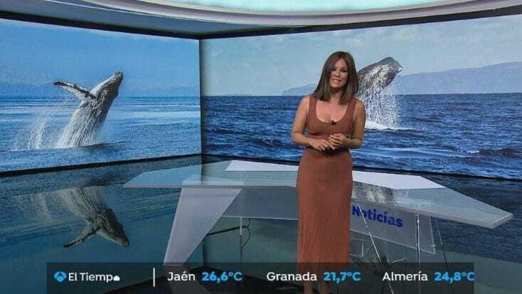 Mercedes Martín presenta 'El Tiempo' en Antena 3 desde 2015.