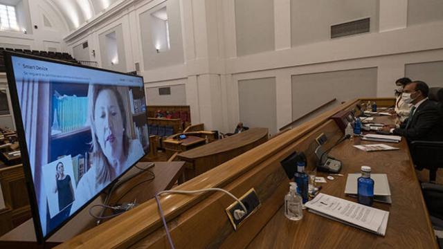 FOTO: Rosa Ana Rodríguez intervino por videoconferencia (JCCM).