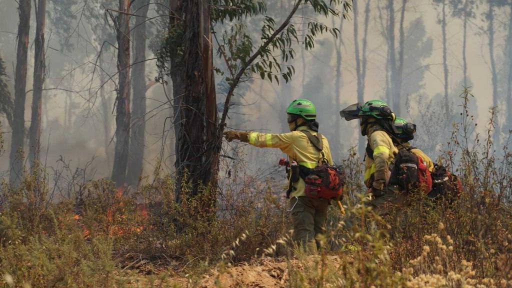 Equipos de emergencias trabajan en el incendio de Huelva.