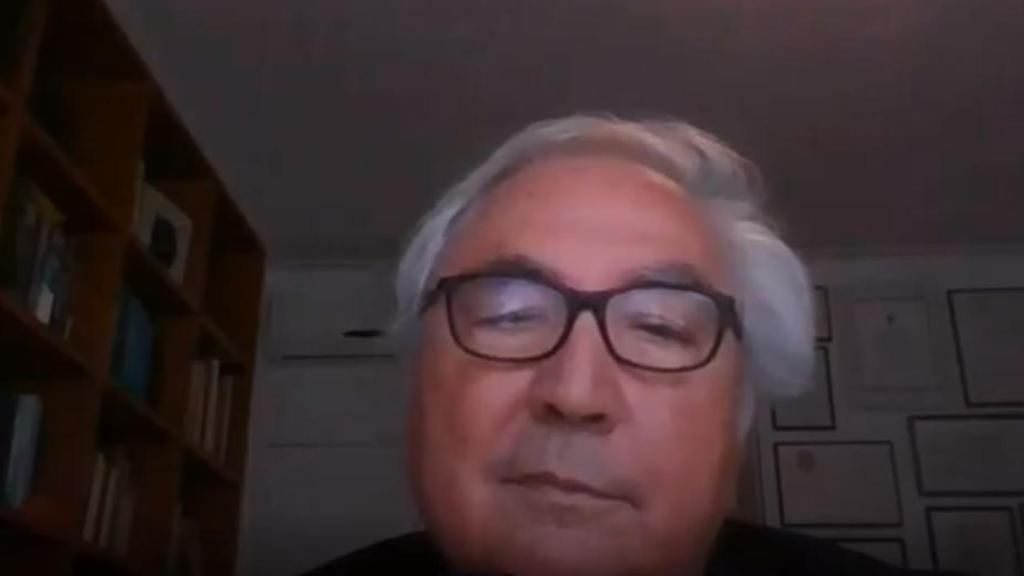 El ministro de Universidades, Manuel Castells, durante la videollamada.