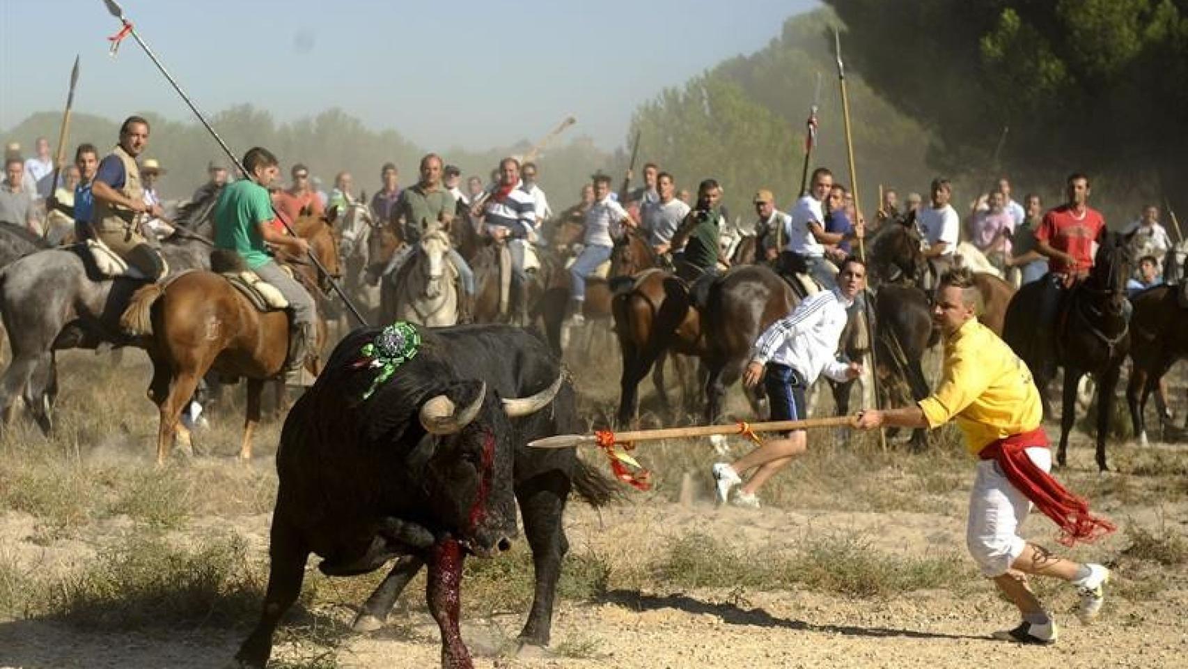 Castilla y León