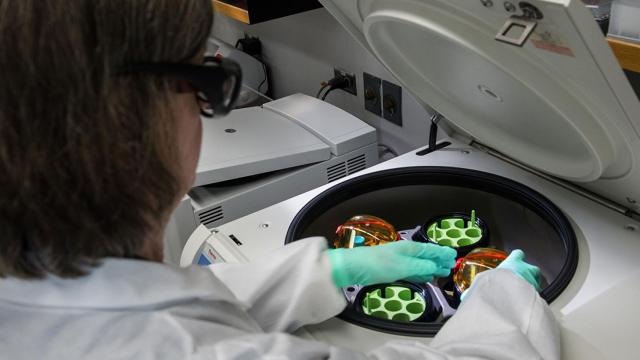 Un investigador trabajando en su laboratorio.