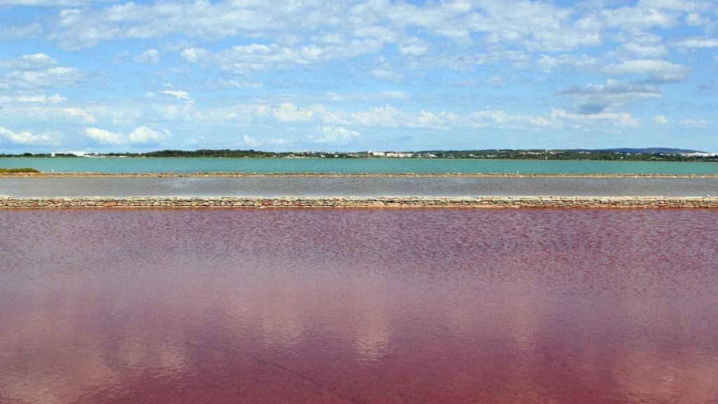 Parque Natural de Ses Salines