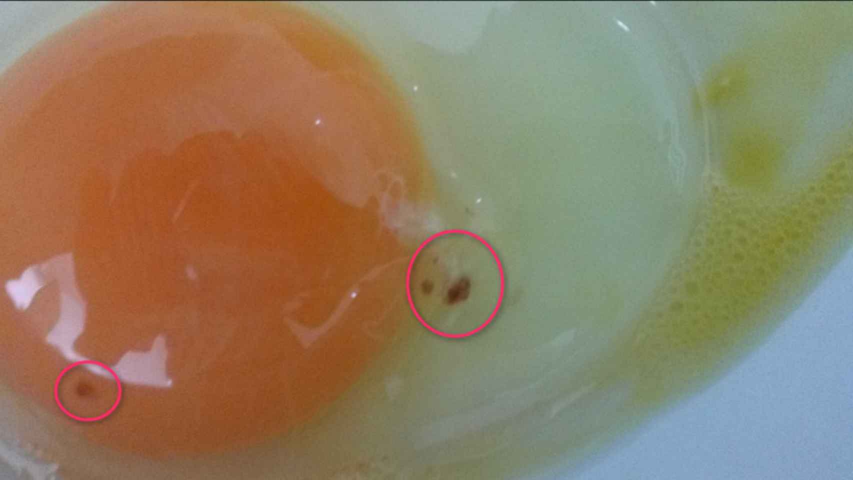Manchas rojas de los huevos: ¿son un peligro?