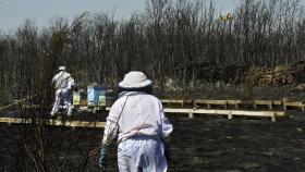 Ourense supera las 8.000 hectáreas quemadas y sigue en alerta por llamas cercanas a casas