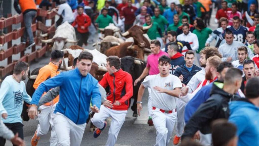 Encierro celebrado con motivo de las Fiestas de Guadalajara