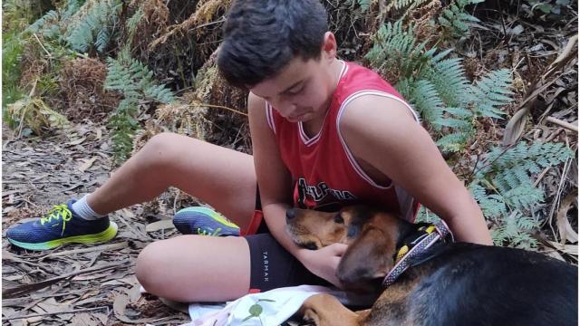 Gordon, el perro coruñés que se escapó durante un paseo, ya está con su familia