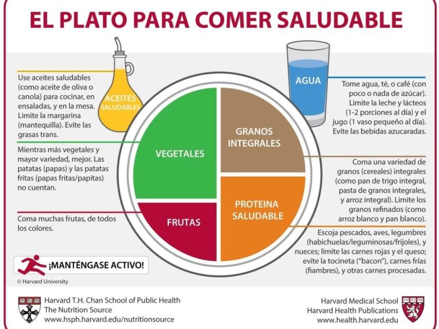 El plato de Harvard en castellano.